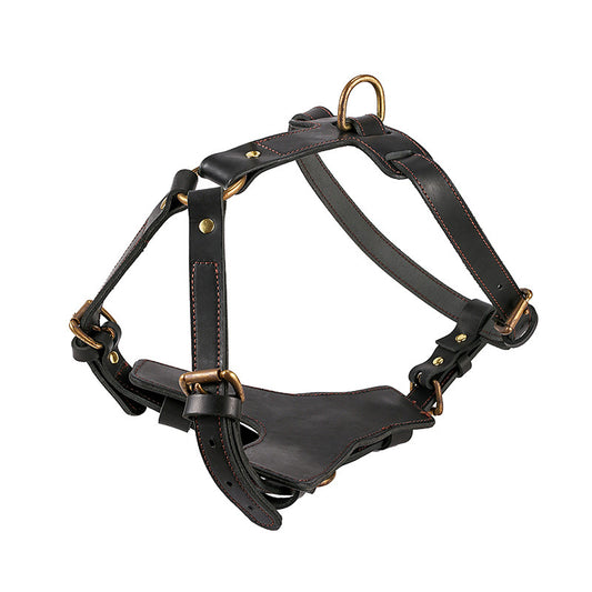 Harnais en Cuir Véritable avec Laisse pour Chien — Protection 360°