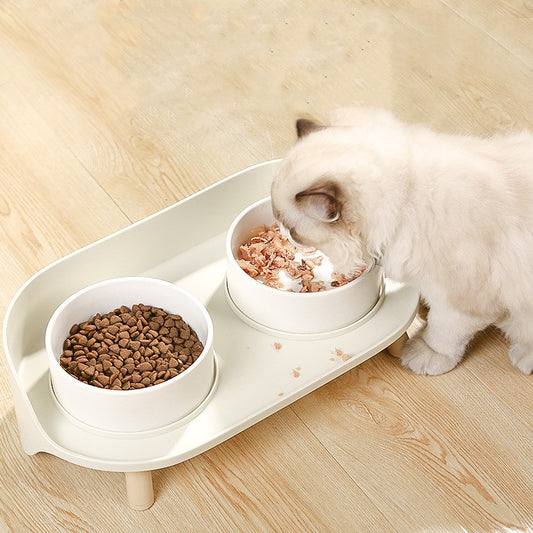Double Bol en Porcelaine pour Chat et Petit Chien – Protection Cervicale