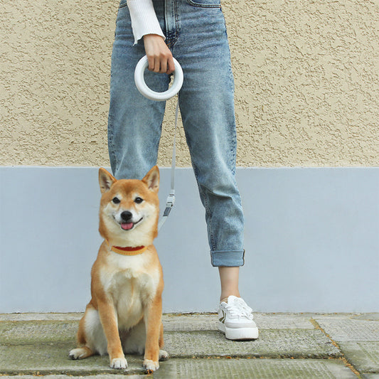 Laisse Rétractable Basic pour Chien — Poignée TPU Confortable