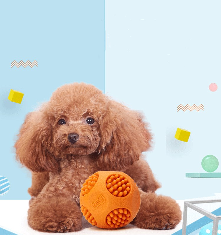 Balle Couineuse Résistante aux Morsures pour Chien — TPR Souple