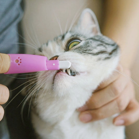 Brosse à Dents Doigt pour Chat & Chien — 5 Couleurs, Nylon & Silicone