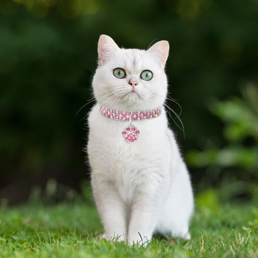 Collier Strass Élastique pour Chat et Chien