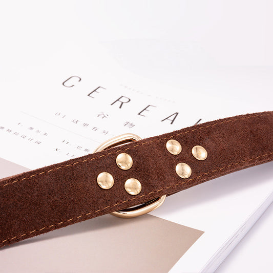 Collier en Cuir Marron pour Chien — Ajustable S, M, L
