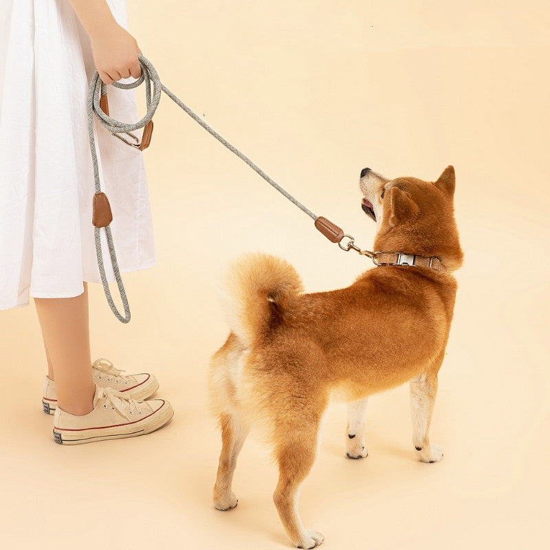 Laisse Mains Libres Bandoulière pour Chien — Nylon Gris Clair