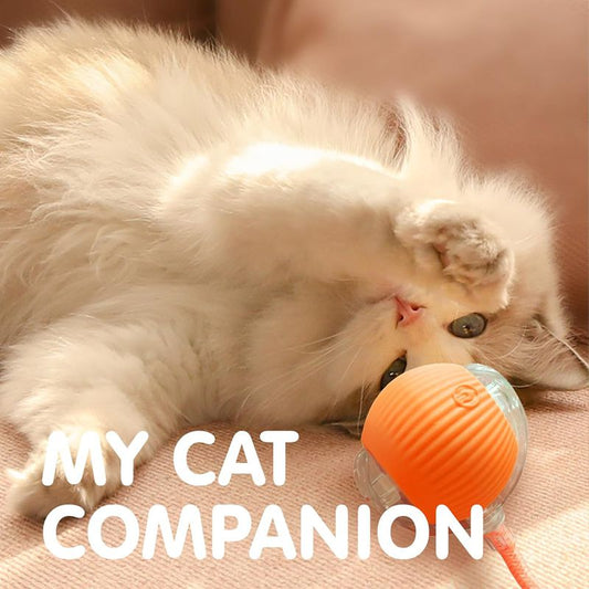 Balle Interactive Intelligente pour Chat & Chien — 3 Modes, Capteur & Recharge Rapide