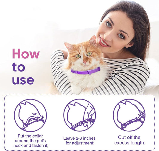 Lot de Colliers Apaisants pour Chat et Chien — Pack de 3 ou 4