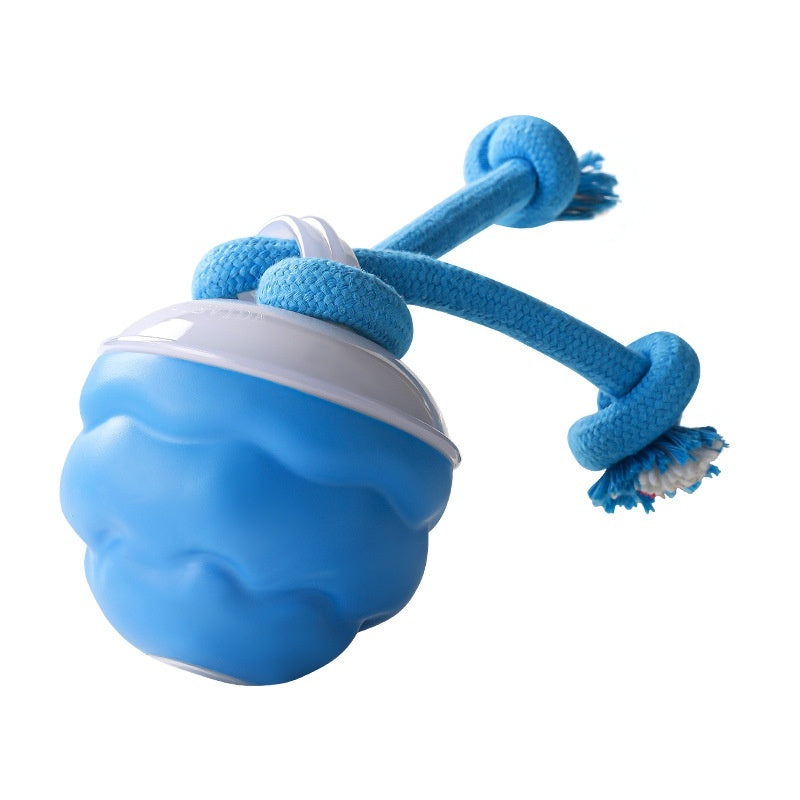 Balle Intelligente Rechargeable pour Chien — Mouvement Automatique