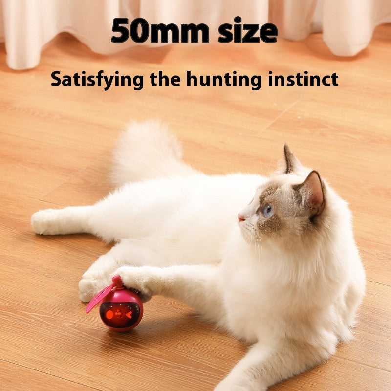 Jouet Élastique Anti-Stress pour Chat – Jeu Autonome & Détente