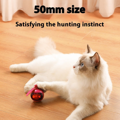 Jouet Élastique Anti-Stress pour Chat – Jeu Autonome & Détente