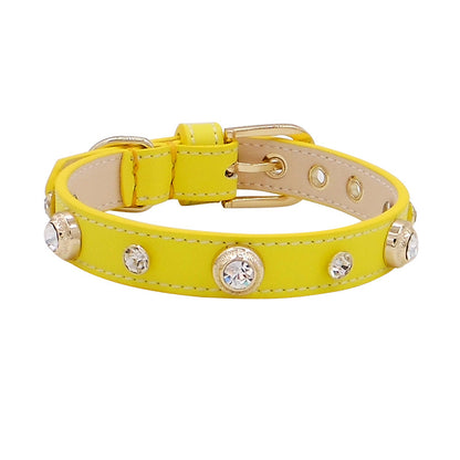 Collier Texturé Multicolore pour Chien — Motifs Lézard, Croco & Lychee | XXS à L