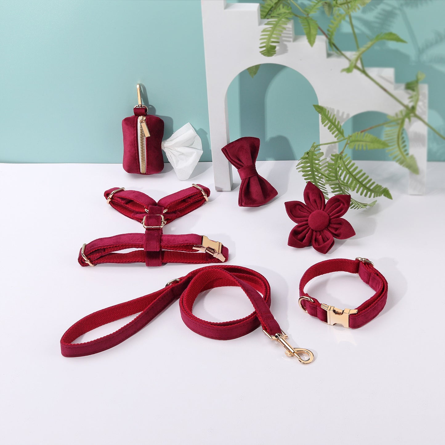 Set 6 Pièces Velours pour Chien — Collier, Laisse, Harnais, Nœud Papillon & Fleur