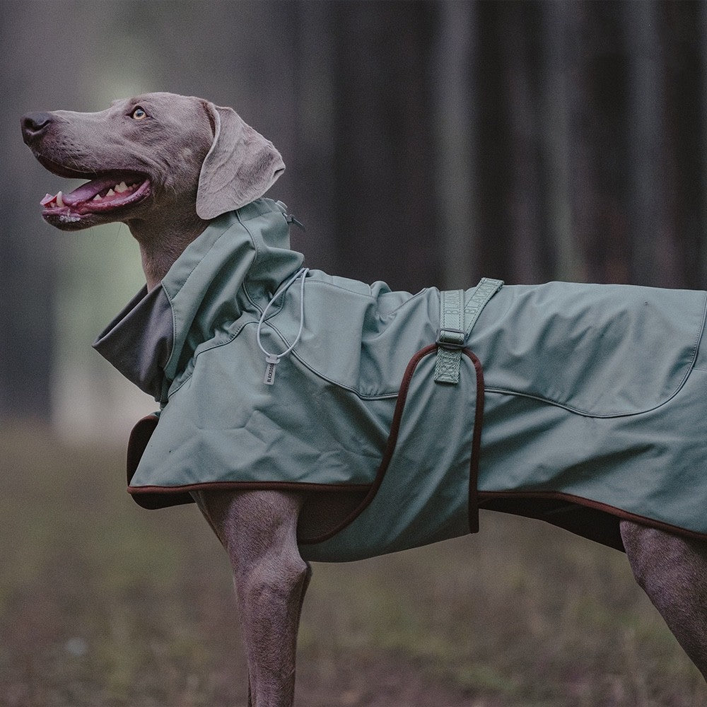Veste Softshell Outdoor pour Chien – Imperméable, Coupe-Vent & Chaude