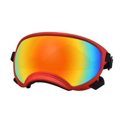 Goggles de ski pour chiens – Anti-buée, anti-vent & polarisés