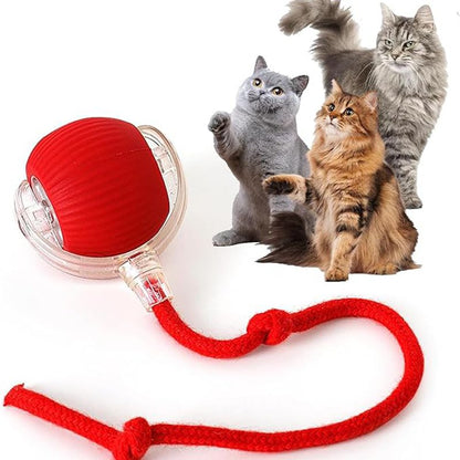 Balle Interactive Intelligente pour Chat & Chien — 3 Modes, Capteur & Recharge Rapide
