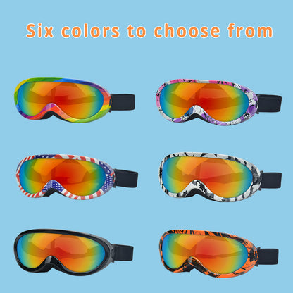 Lunettes de soleil pour chats – Anti-vent & tendance