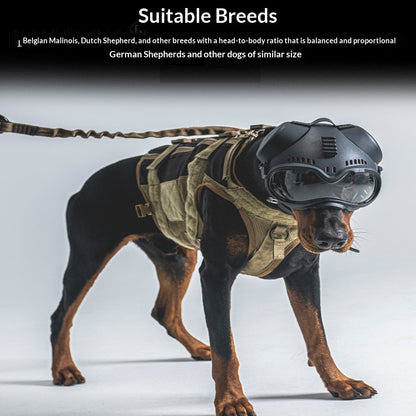 Masque Tactique K9 avec Lunettes de Protection pour Chien — Toutes Saisons
