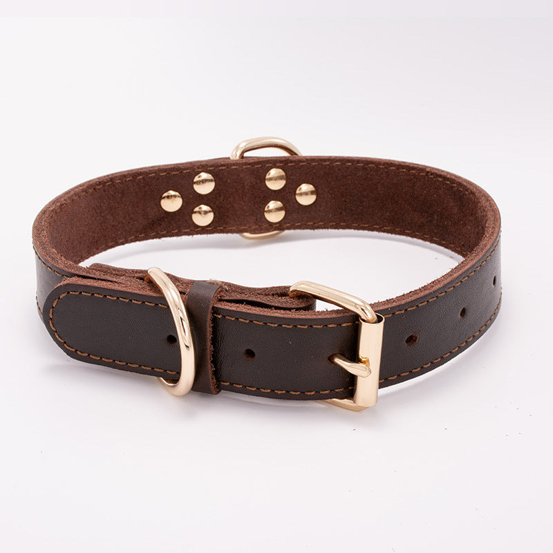 Collier en Cuir Marron pour Chien — Ajustable S, M, L