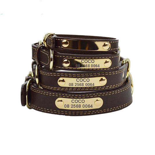 Collier en Cuir Véritable avec Plaque Gravée pour Chien — Personnalisable