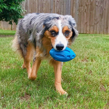Durable Rubber Rugby Dog Toy