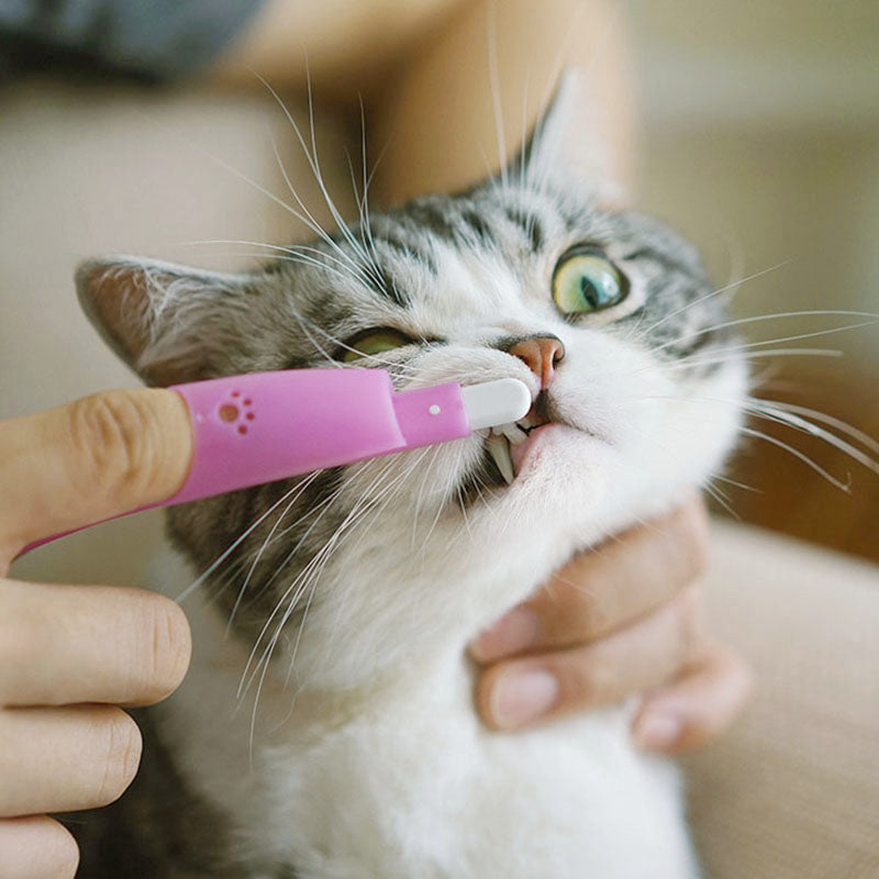 Brosse à Dents Doigt pour Chat & Chien — 5 Couleurs, Nylon & Silicone