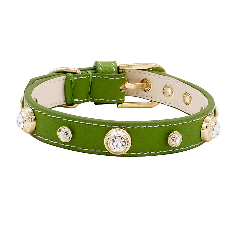 Collier Texturé Multicolore pour Chien — Motifs Lézard, Croco & Lychee | XXS à L