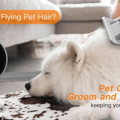 Aspirateur Silencieux pour Animaux — Poils & Toilettage 600W