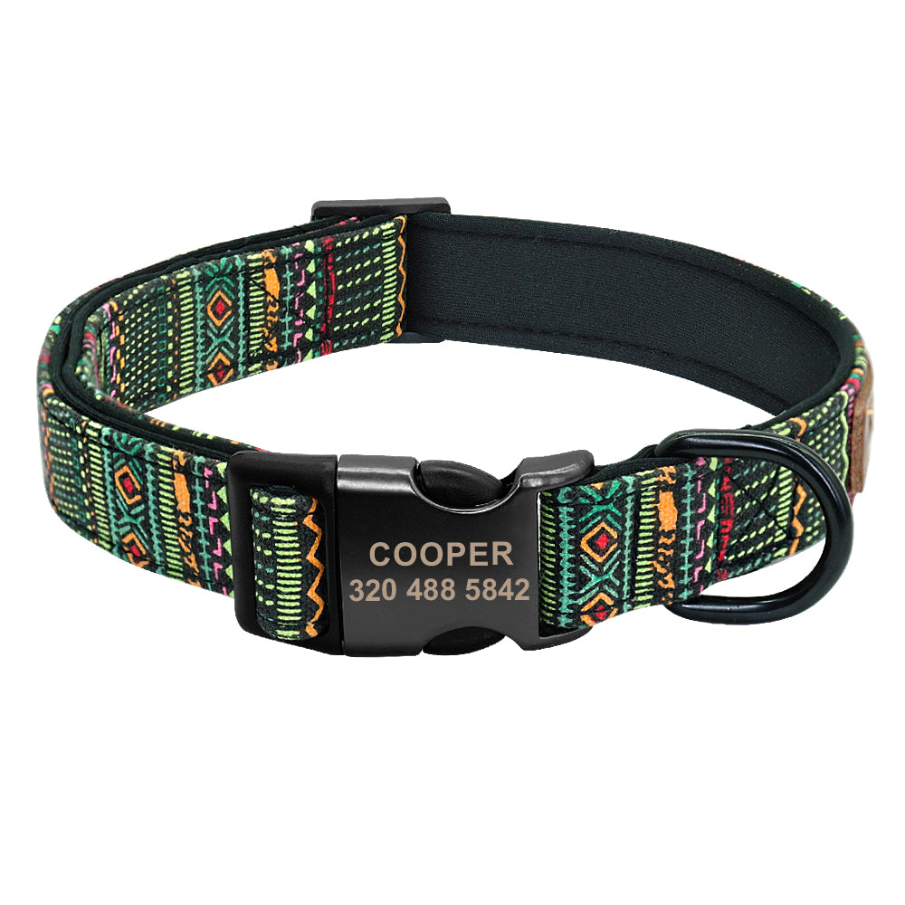 Collier en Nylon Coloré pour Chien — Basic & Confortable