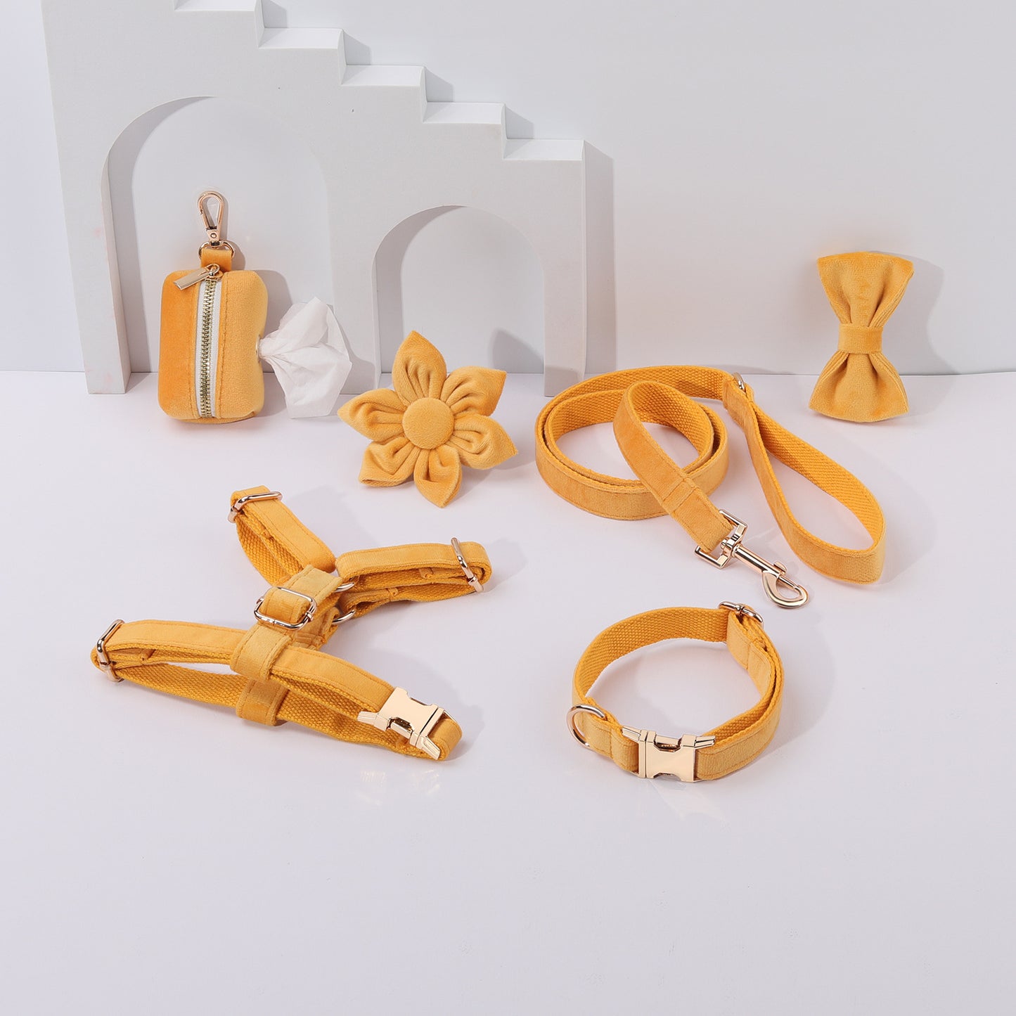Set 6 Pièces Velours pour Chien — Collier, Laisse, Harnais, Nœud Papillon & Fleur