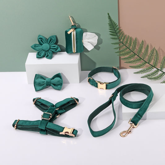 Set 6 Pièces Velours pour Chien — Collier, Laisse, Harnais, Nœud Papillon & Fleur