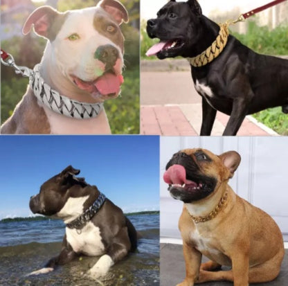 Collier pour Chien en Acier Inoxydable – Chaîne Moulée Premium