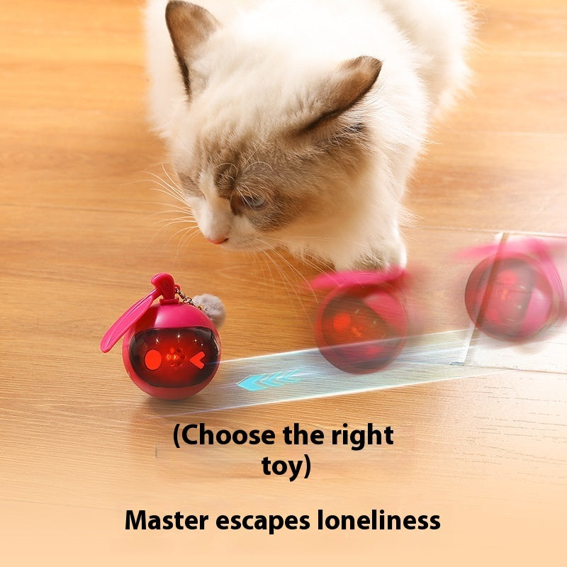 Jouet Élastique Anti-Stress pour Chat – Jeu Autonome & Détente