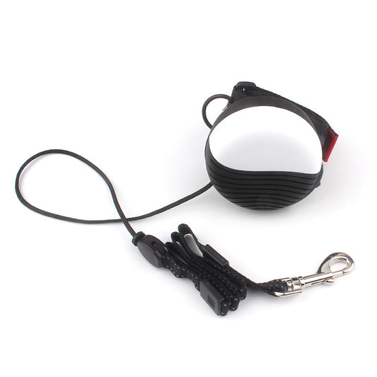 Laisse Rétractable Mains Libres Nylon 3M pour Chien & Chat