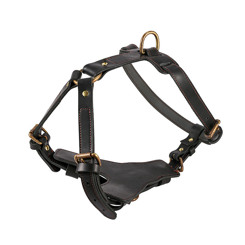 Harnais en Cuir Véritable avec Laisse pour Chien — Protection 360°