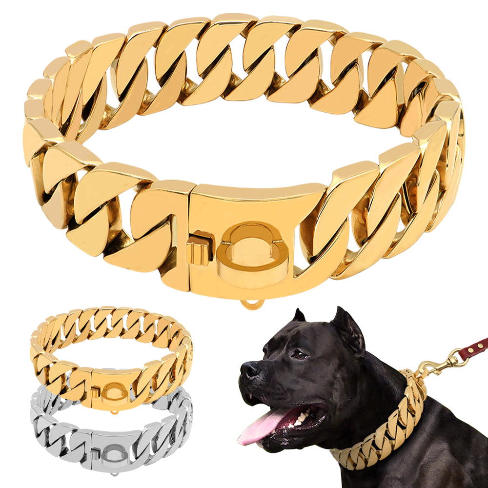 Collier pour Chien en Acier Inoxydable – Chaîne Moulée Premium