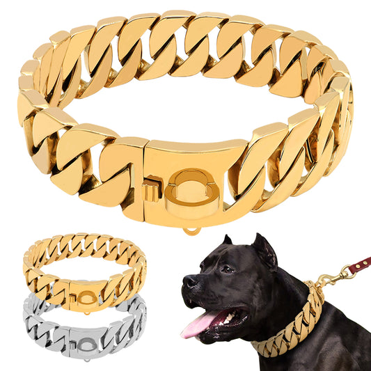 Collier pour Chien en Acier Inoxydable – Chaîne Moulée Premium