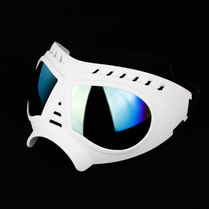 Lunettes de protection pour chiens – Goggles anti-vent & UV