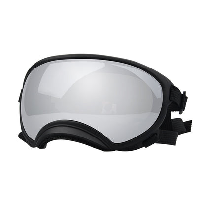 Goggles de ski pour chiens – Anti-buée, anti-vent & polarisés
