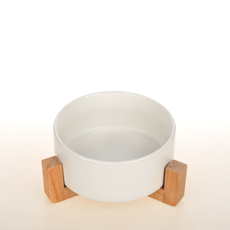 Double Bol en Porcelaine pour Chat et Petit Chien – Protection Cervicale