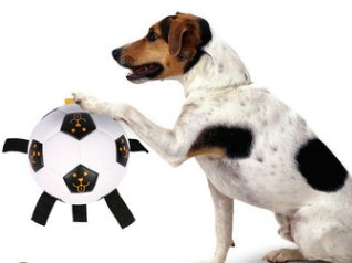 Jouet Football en Corde Interactif pour Chien — Entraînement Outdoor