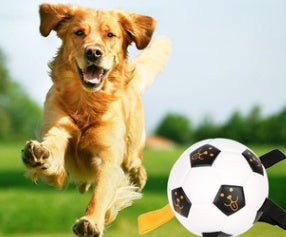 Jouet Football en Corde Interactif pour Chien — Entraînement Outdoor