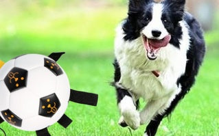 Jouet Football en Corde Interactif pour Chien — Entraînement Outdoor