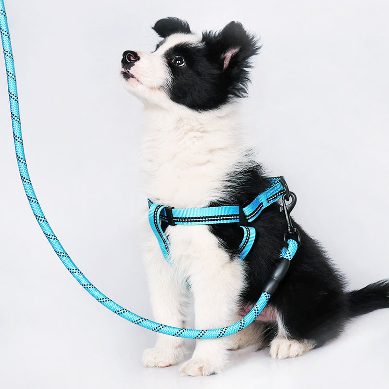 Reflective Harness Leash for Dogs — Chest & Back — Nylon EVA