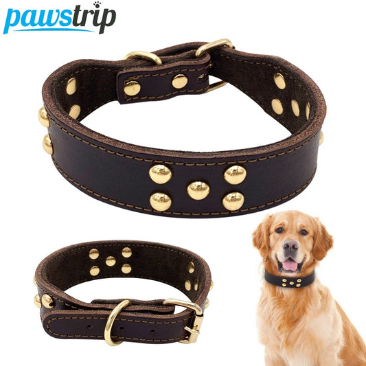 Collier en Cuir Marron pour Chien — Ajustable S, M, L
