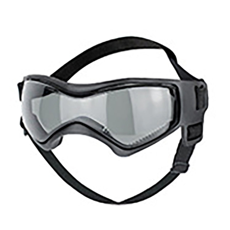 Goggles UV pour chiens – Protection soleil, style casual