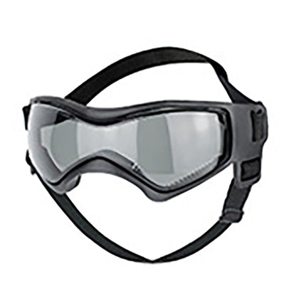 Goggles UV pour chiens – Protection soleil, style casual