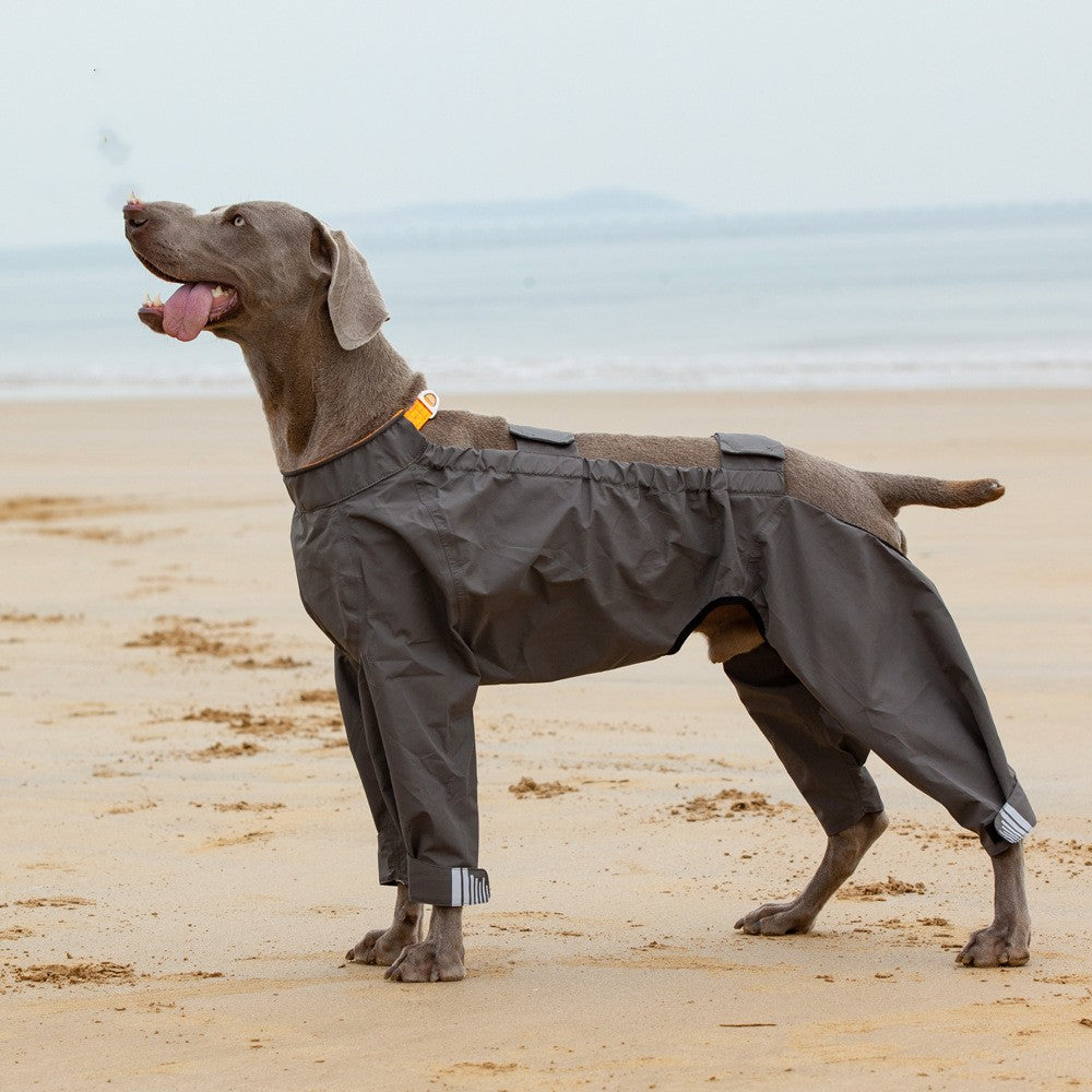 Imperméable 4 Pattes pour Chien Moyen et Grand – Poncho Imperméable