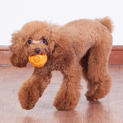 Balle Couineuse Résistante aux Morsures pour Chien — TPR Souple