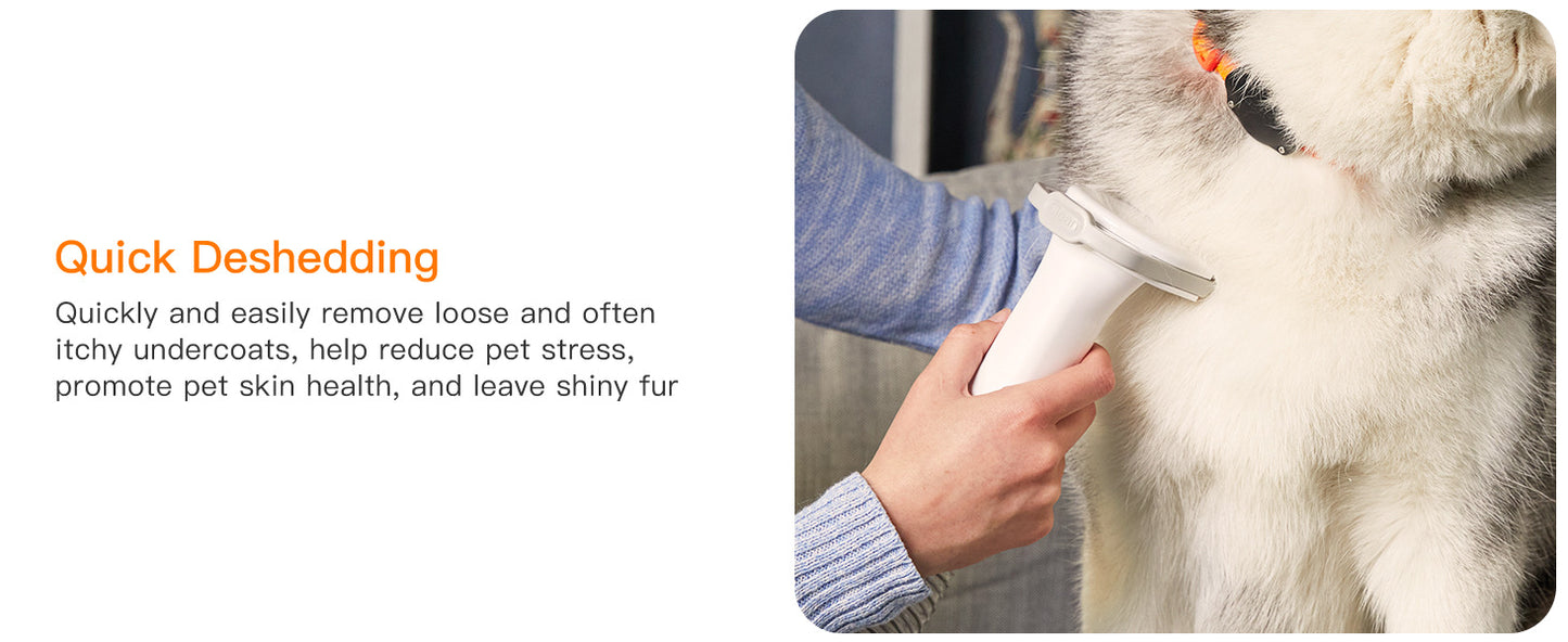 Aspirateur Silencieux pour Animaux — Poils & Toilettage 600W