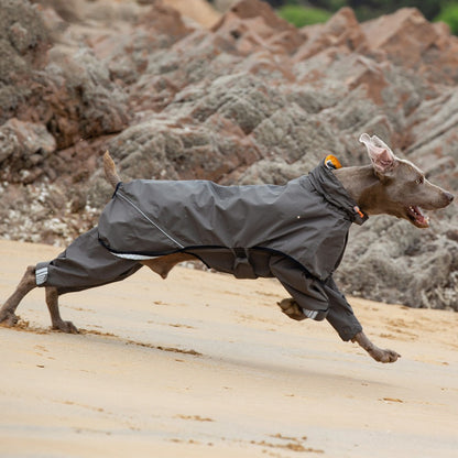 Imperméable 4 Pattes pour Chien Moyen et Grand – Poncho Imperméable
