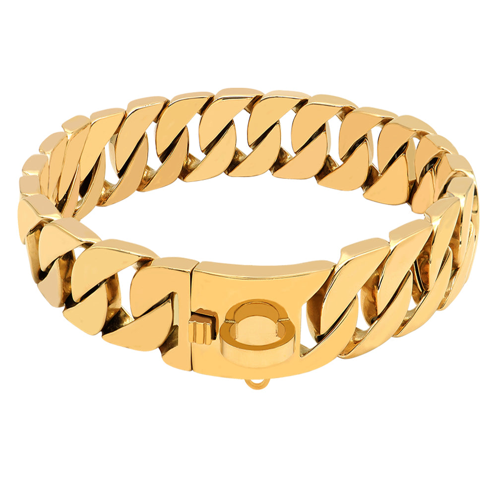 Collier pour Chien en Acier Inoxydable – Chaîne Moulée Premium